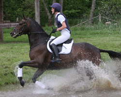 Floras Mutter Dr. Martina Reemtsma wurde in Marbach bei 74 Konkurrenten Achte auf Henry. Foto: Wego Floras Mutter Dr. Martina Reemtsma wurde in Marbach bei 74 Konkurrenten Achte auf Henry. Foto: Wego